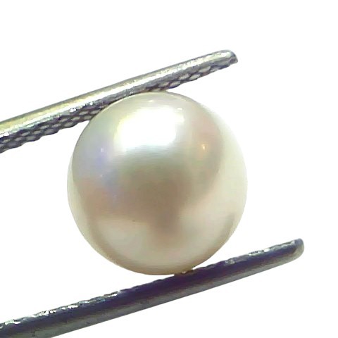 5.48 Ct Natural Certified Real South Sea Pearl Certified Moti 5.48 Ct Natural Certified Real South Sea Pearl Certified Moti