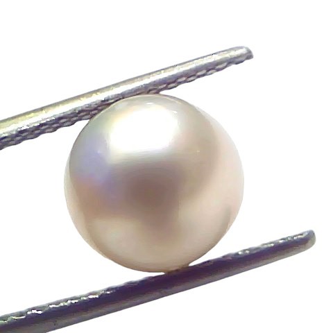 5.49 Ct Natural Certified Real South Sea Pearl Certified Moti 5.49 Ct Natural Certified Real South Sea Pearl Certified Moti