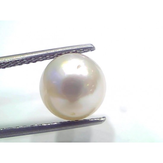 5.53 Ct Natural Certified Real South Sea Pearl Certified Moti