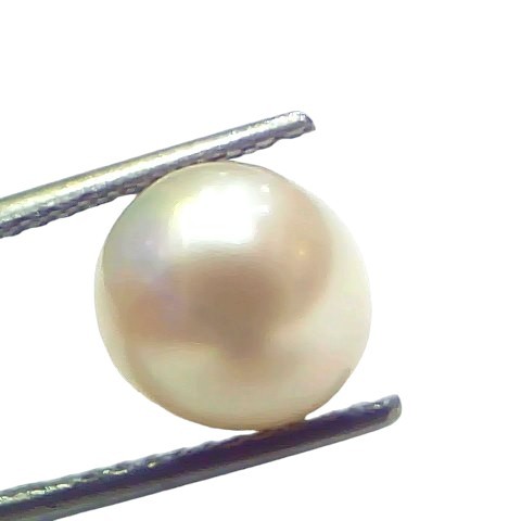 5.58 Ct Natural Certified Real South Sea Pearl Certified Moti 5.58 Ct Natural Certified Real South Sea Pearl Certified Moti