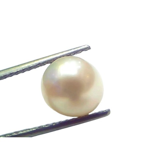5.58 Ct Natural Certified Real South Sea Pearl Certified Moti