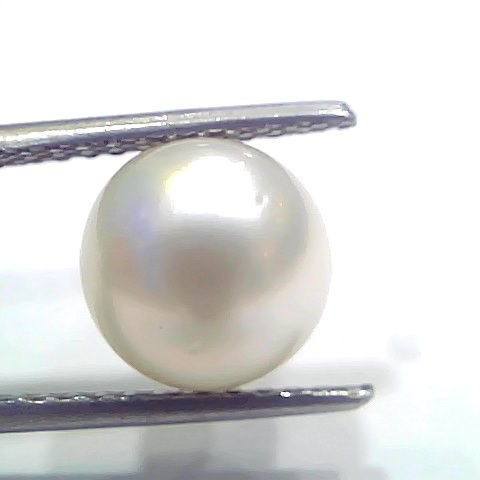 5.56 Ct Natural Certified Real South Sea Pearl Certified Moti