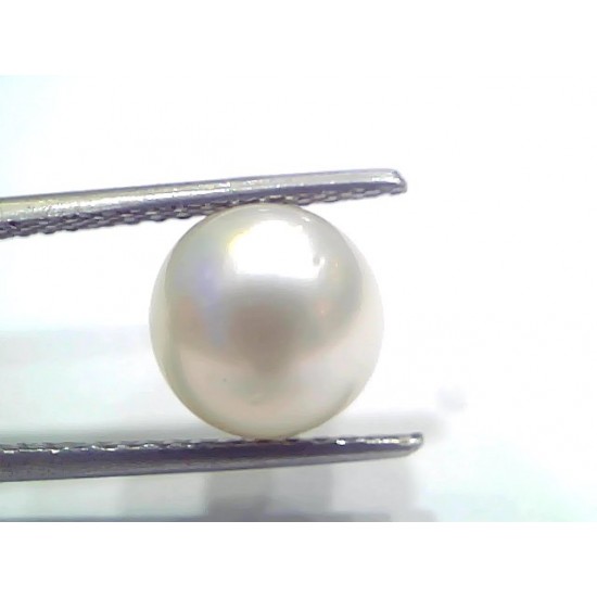 5.56 Ct Natural Certified Real South Sea Pearl Certified Moti