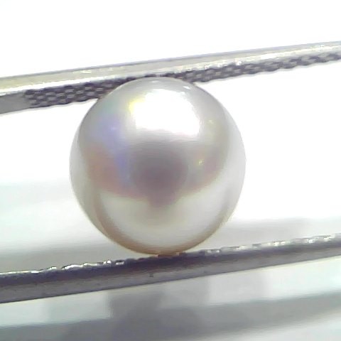 5.83 Ct Natural Certified Real South Sea Pearl Certified Moti