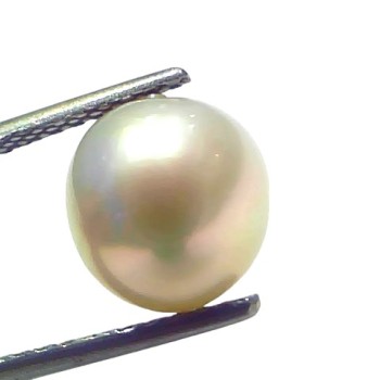 5.87 Ct Natural Certified Real South Sea Pearl Certified Moti 5.87 Ct Natural Certified Real South Sea Pearl Certified Moti