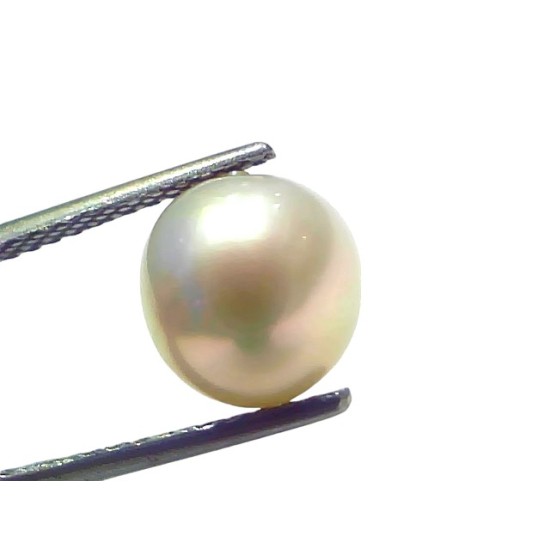 5.87 Ct Natural Certified Real South Sea Pearl Certified Moti