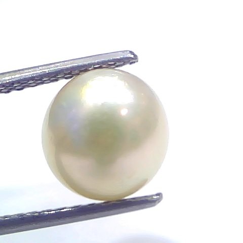 5.92 Ct Natural Certified Real South Sea Pearl Certified Moti