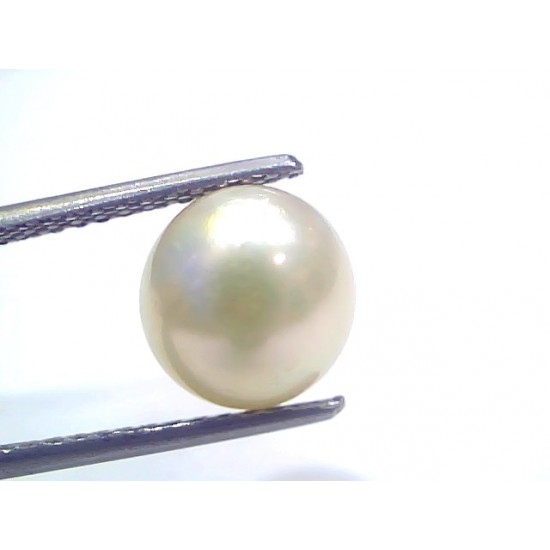 5.92 Ct Natural Certified Real South Sea Pearl Certified Moti