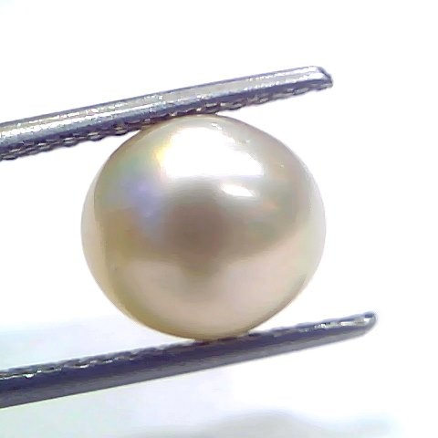 5.93 Ct Natural Certified Real South Sea Pearl Certified Moti