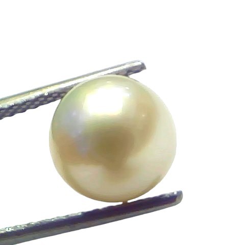 5.99 Ct Natural Certified Real South Sea Pearl Certified Moti 5.99 Ct Natural Certified Real South Sea Pearl Certified Moti