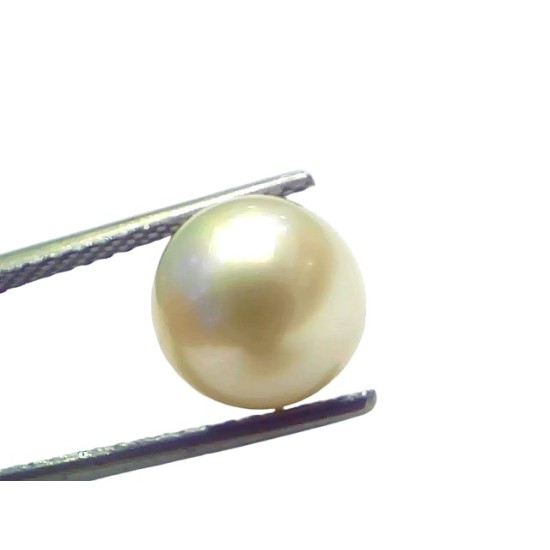5.99 Ct Natural Certified Real South Sea Pearl Certified Moti