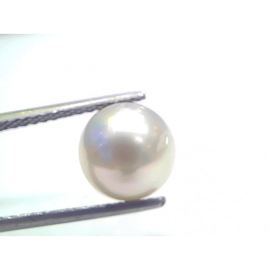 5.96 Ct Natural Certified Real South Sea Pearl Certified Moti