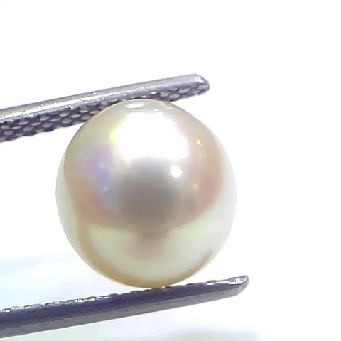 6.03 Ct Natural Certified Real South Sea Pearl Certified Moti