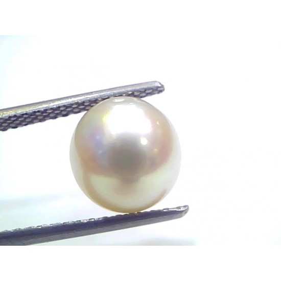 6.03 Ct Natural Certified Real South Sea Pearl Certified Moti