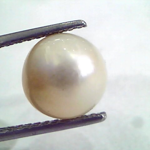 6.02 Ct Natural Certified Real South Sea Pearl,Certified Moti