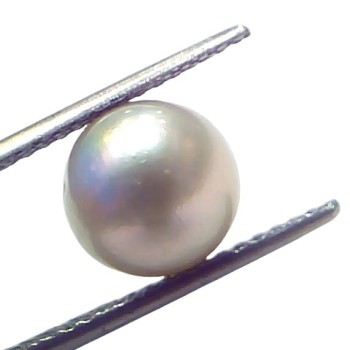 6.06 Ct Natural Certified Real South Sea Pearl Certified Moti 6.06 Ct Natural Certified Real South Sea Pearl Certified Moti