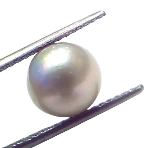 6.06 Ct Natural Certified Real South Sea Pearl Certified Moti 6.06 Ct Natural Certified Real South Sea Pearl Certified Moti