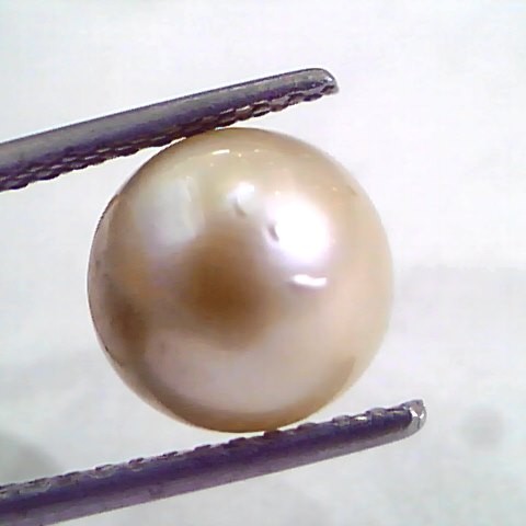 6.11 Ct Natural Certified Real South Sea Pearl,Certified Moti