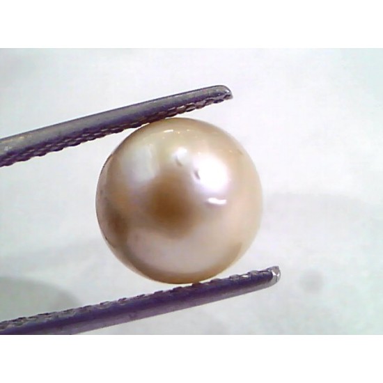 6.11 Ct Natural Certified Real South Sea Pearl,Certified Moti
