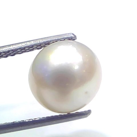 6.10 Ct Natural Certified Real South Sea Pearl Certified Moti