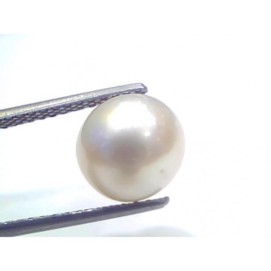 6.10 Ct Natural Certified Real South Sea Pearl Certified Moti