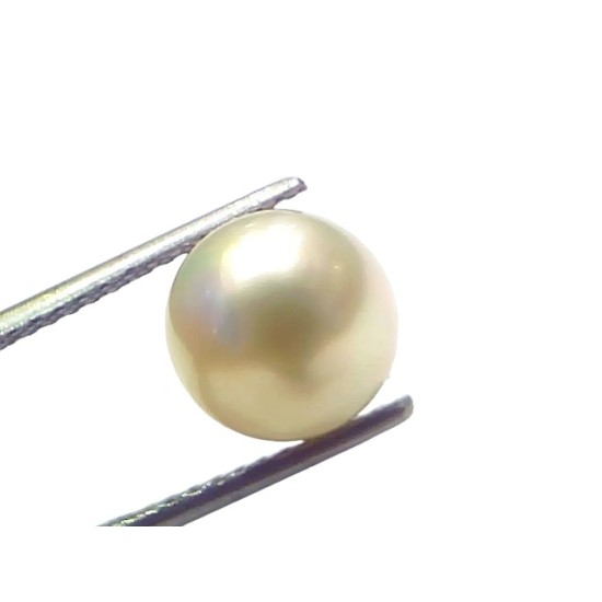 6.27 Ct Natural Certified Real South Sea Pearl Certified Moti