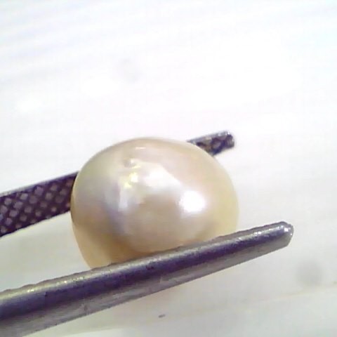 6.26 Ct 25.55 Chaw Natural Real Basra Pearl Moti Certified *RARE