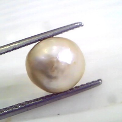 6.26 Ct 25.55 Chaw Natural Real Basra Pearl Moti Certified *RARE