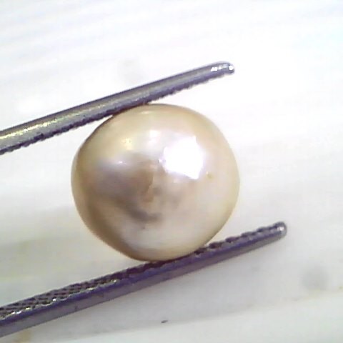 6.26 Ct 25.55 Chaw Natural Real Basra Pearl Moti Certified *RARE