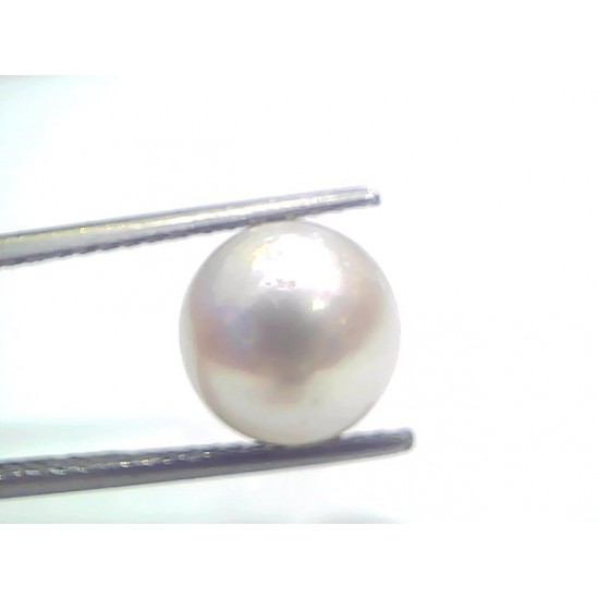 6.55 Ct Natural Certified Real South Sea Pearl Certified Moti