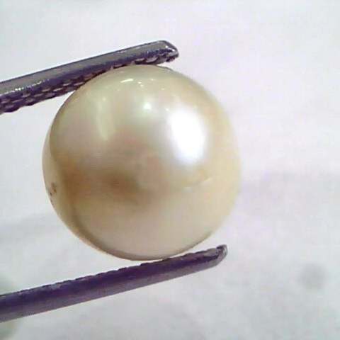 6.44 Ct Natural Certified Real South Sea Pearl,Certified Moti