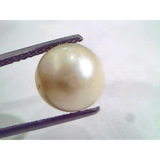 6.44 Ct Natural Certified Real South Sea Pearl,Certified Moti