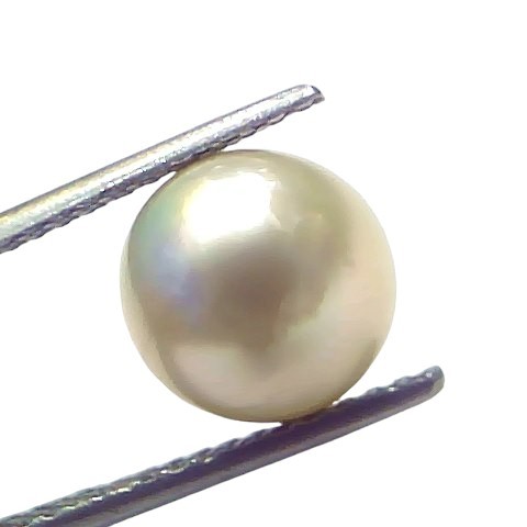 6.45 Ct Natural Certified Real South Sea Pearl Certified Moti 6.45 Ct Natural Certified Real South Sea Pearl Certified Moti