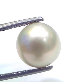 6.44 Ct Natural Certified Real South Sea Pearl Certified Moti