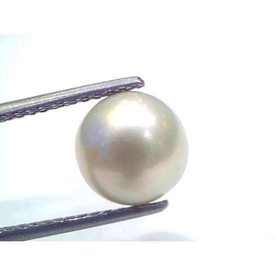 6.44 Ct Natural Certified Real South Sea Pearl Certified Moti