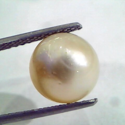 6.57 Ct Natural Certified Real South Sea Pearl,Certified Moti
