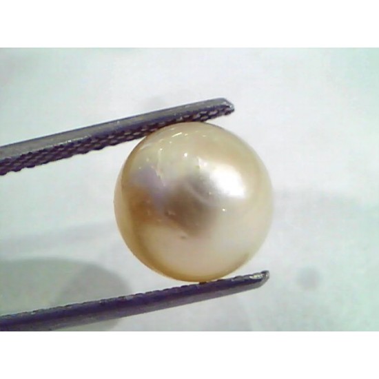 6.57 Ct Natural Certified Real South Sea Pearl,Certified Moti