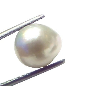 6.55 Ct Natural Certified Real South Sea Pearl Certified Moti 6.55 Ct Natural Certified Real South Sea Pearl Certified Moti