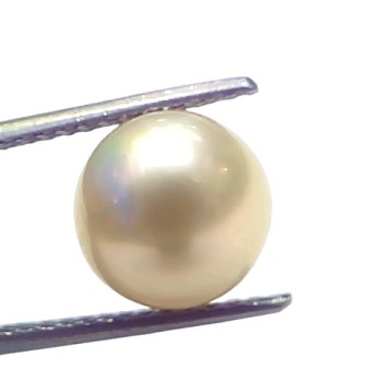6.57 Ct Natural Certified Real South Sea Pearl Certified Moti 6.57 Ct Natural Certified Real South Sea Pearl Certified Moti