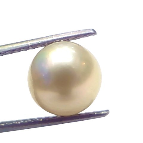 6.57 Ct Natural Certified Real South Sea Pearl Certified Moti 6.57 Ct Natural Certified Real South Sea Pearl Certified Moti