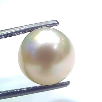 6.63 Ct Natural Certified Real South Sea Pearl Certified Moti