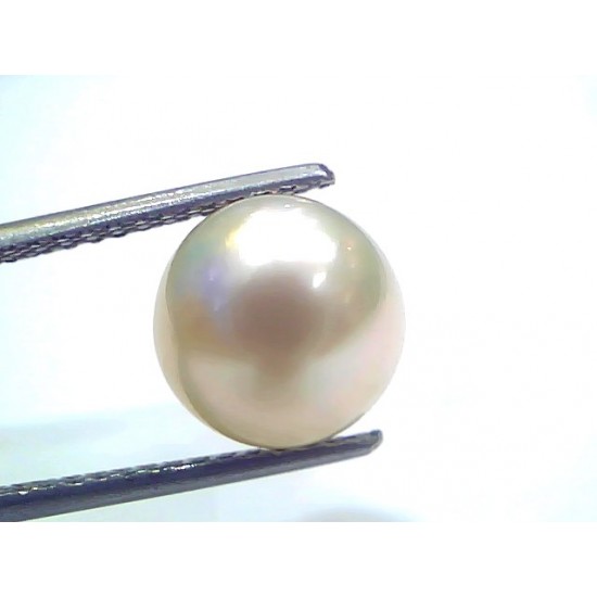6.63 Ct Natural Certified Real South Sea Pearl Certified Moti