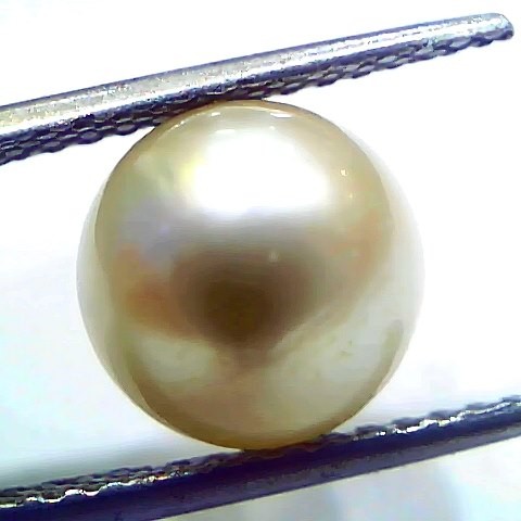 6.57 Ct Natural Certified Real South Sea Pearl Certified Moti