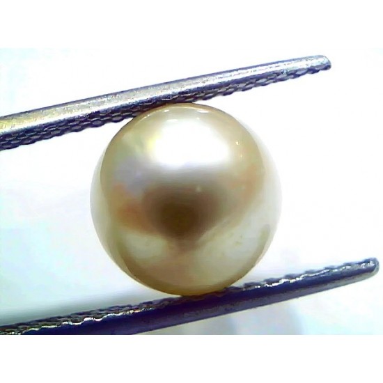 6.57 Ct Natural Certified Real South Sea Pearl Certified Moti