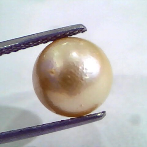 6.68 Ct Natural Certified Real South Sea Pearl,Certified Moti