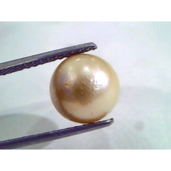 6.68 Ct Natural Certified Real South Sea Pearl,Certified Moti