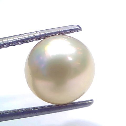 6.64 Ct Natural Certified Real South Sea Pearl Certified Moti