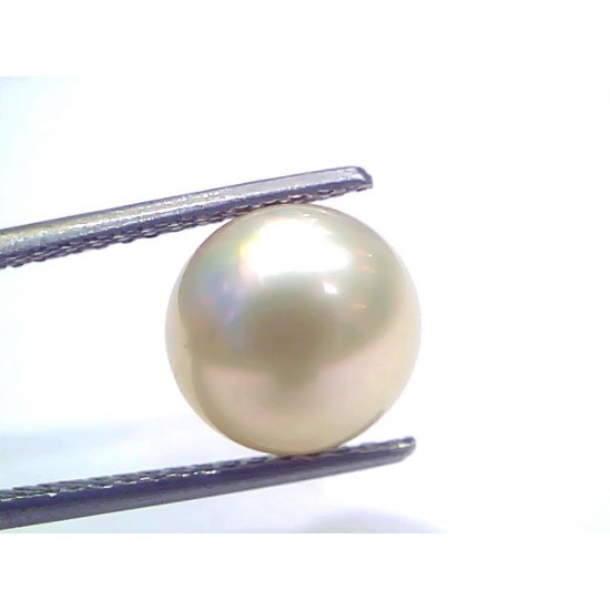 6.64 Ct Natural Certified Real South Sea Pearl Certified Moti