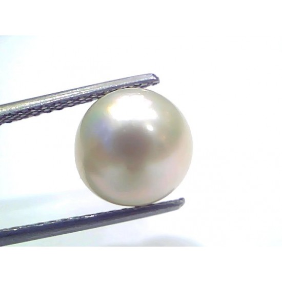 6.72 Ct Natural Certified Real South Sea Pearl Certified Moti