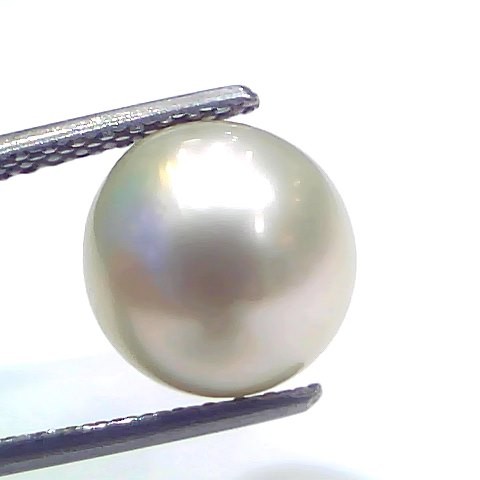 6.83 Ct Natural Certified Real South Sea Pearl Certified Moti